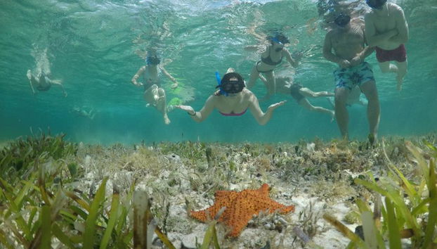 Plongée en apnée à Cozumel : récifs de Palancar, Colombia et El Cielo - Photo 4